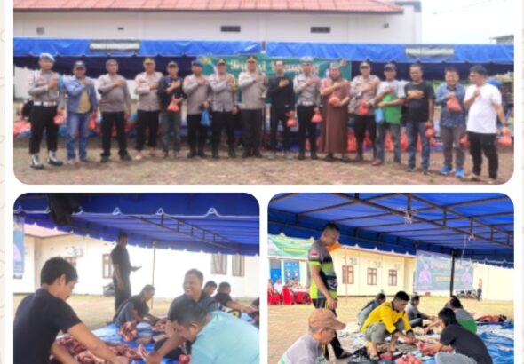 Screenshot_20260217-225539~2