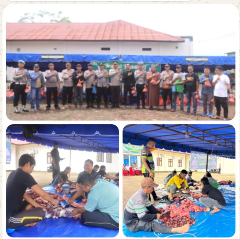 Screenshot_20260217-225539~2